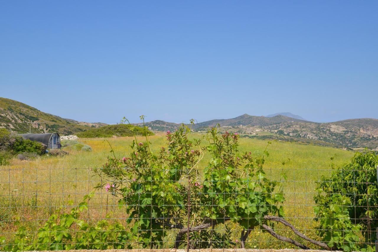 Xalakas Summer House Embourios  Eksteriør billede